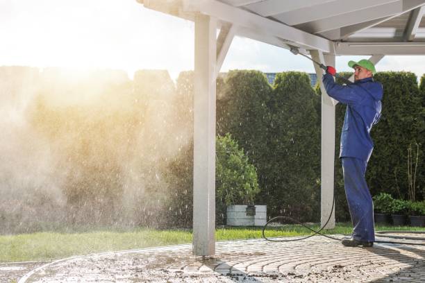 Best Concrete Sealing  in Ava, MO