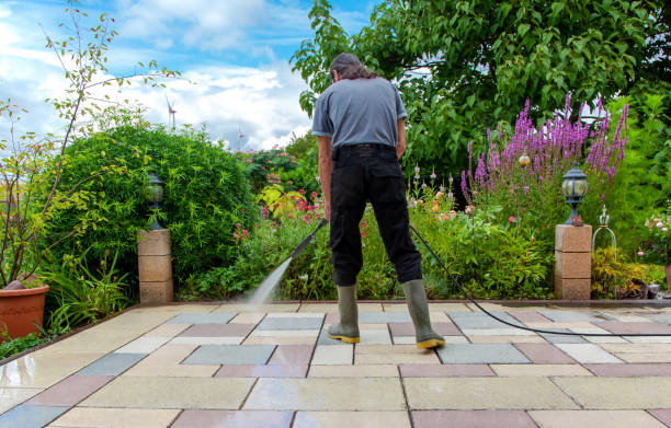 Best Patio and Deck Pressure Washing  in Ava, MO